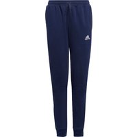 adidas Performance Trainingshose "ENT22 SW PNTY", (1 tlg.) von adidas performance