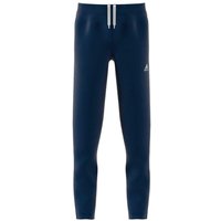 adidas Performance Trainingshose "ENT22 TR PNT Y", (1 tlg.) von adidas performance
