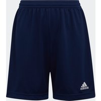 adidas Performance Trainingsshorts "ENT22 SHO Y", (1 tlg.) von adidas performance