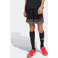 adidas Performance Trainingsshorts "SQUA25 SHO Y" von adidas performance