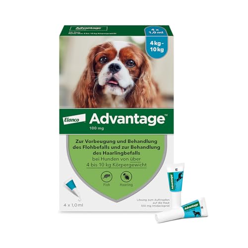 Elanco Advantage Spot-On 100 für kleine Hunde von 4 bis 10 kg Körpergewicht, schnelle Bekämpfung von Flöhen und Schutz vor Flohbefall für bis zu 4 Wochen, 4 Pipetten mit 1,0 ml Lösung von Advantage