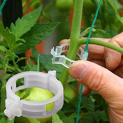 æ— Garden Plant Clips 200 Pcs Tomato Vine Vegetable Clips Plastic Trellis Vine Fixing Clips for Garden Vegetables Upright and Healthy Growing von æ—