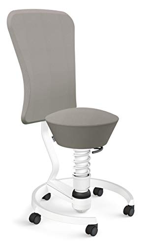 aeris Swopper – Hocker mit Lehne – Bürohocker höhenverstellbar – Schreibtischstuhl gegen Rückenschmerzen – Ergonomischer Bürostuhl und Sitztrainer, Feder Low von aeris