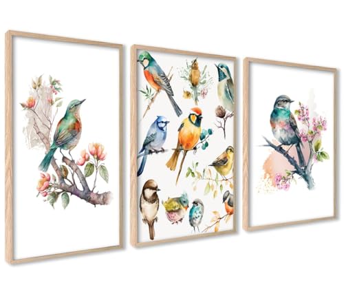 ag.art deco Vögel Blumen Motiv Poster Set | 3 x 40x50cm MIT RAHMEN HOLZ | Moderne Wandbild für Küche Badezimmer Wohnzimmer von ag.art deco