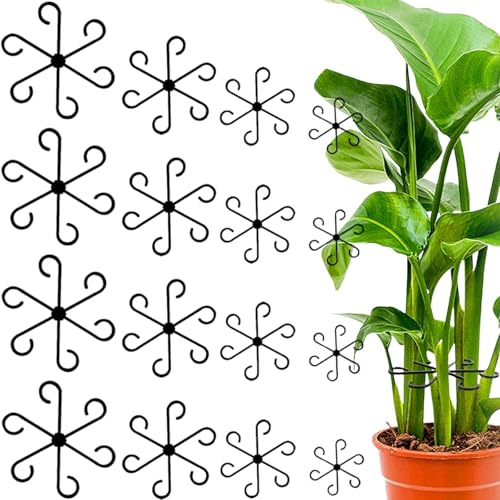 16 Stück Pflanzenstütze,Pflanzenhalter Pflanzen Stütze Pflanzen Rankhilfe,Pflanzenstützen für Zimmerpflanzen Verwendet für Grüne Pflanzen Und Blumen 16 Stück Pflanzenstütze,Pflanzenhalter Pflanzen Stütze Pflanzen Rankhilfe,Pflanzenstützen für Zimmerpflanzen Verwendet für Grüne Pflanzen Und Blumen von agogue