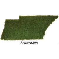 Tennessee Kunstrasen Fußmatte | Teppich Wand-Dekor von agokc