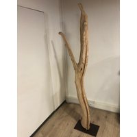 stehlampe Aus Gewachsener Buche Für Ambiente-/ Hintergrundbeleuchtung stehlampe Aus Gewachsener Buche Für Ambiente-/ Hintergrundbeleuchtung von ahakreativWerkstatt