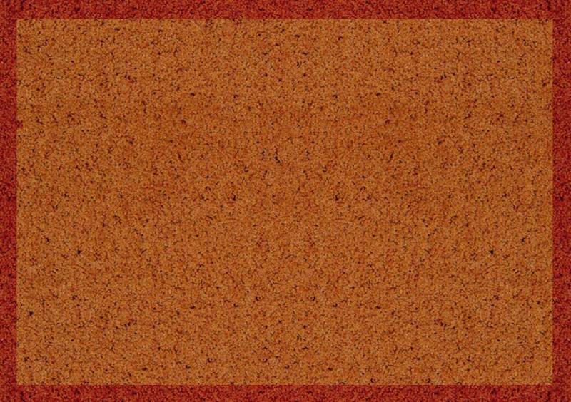 Teppich Fußmatte uni Terra Sauberlaufmatte Schmutzfangmatte Türvorleger Eingangsmatte, rechteckig, Höhe: 4 mm, waschbar bei 30° von akzente