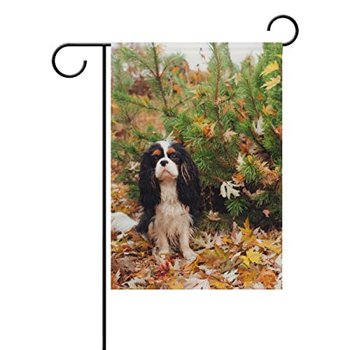 ALAZA Cavalier King Charles Spaniel Hund Dekorative Gartenflagge 30,5 x 45,7 cm doppelseitige Hofflagge von alaza