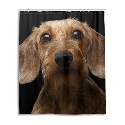 ALAZA Dackel Hund Duschvorhang 60 x 72 Zoll Wasserdicht Polyester Dekoration Badezimmer Vorhang mit Haken von alaza