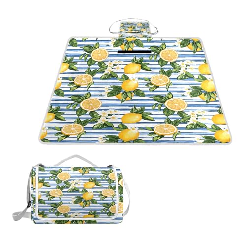 ALAZA Rechteckige, wasserdichte Picknickdecke, blau gestreift, Zitrone, tragbar, faltbar, für den Innenbereich, für Reisen, Wandern, Camping, Park, 150 cm x 145 cm von alaza