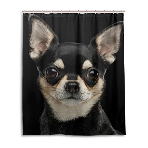 Alaza Chihuahua Hund Duschvorhang 152,4 x 182,9 cm wasserdicht Polyester Dekoration Badezimmer Vorhang mit Haken von alaza