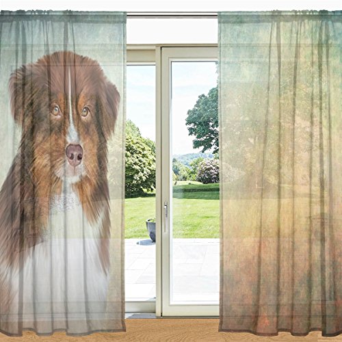 alaza Australian Shepherd Dog Printed Sheer Fenster und Tür-Vorhang 2 Panels 55" x 84", Rod Pocket-Panels von alaza