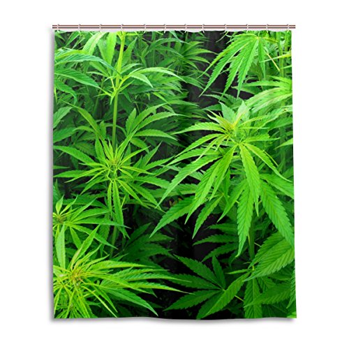 alaza Marihuana-Hanf-Blätter Duschvorhang 60 x 72 Inch, schimmelresistent und wasserdicht Polyester Dekoration Badezimmer-Vorhang von alaza