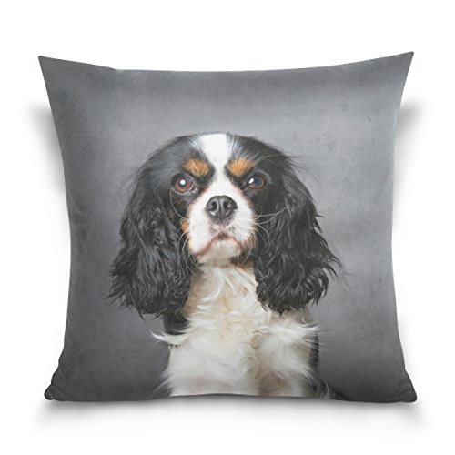 alaza Werfen Cavalier King Charles Spaniel-Hundequadrat-Kissenbezug Cotton Velvet Kissenbezug von alaza