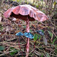 Kupfer Pilz Skulptur - Graden Yard Pflanzgefäß Dekoration Handgehämmert Mit Feuerpatina von alchemykitchen777