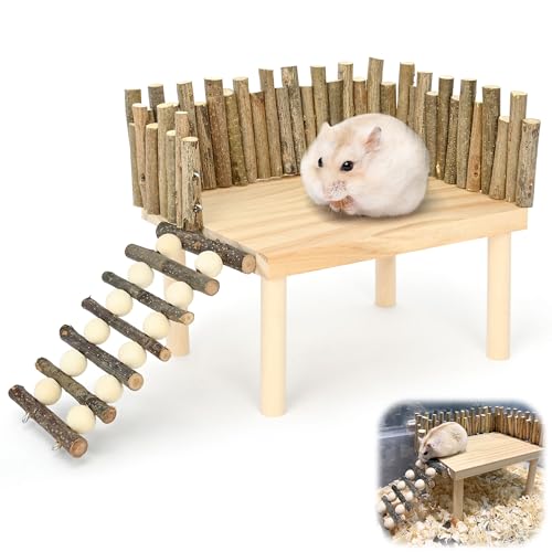aleawol Hamster Kletterplattform, Klettergerüst aus Holz mit LeiterHamster Aktivität Plattform Hamsterplattform Kletterzubehör mit Zau für Parror Rennmaus Eichhörnchen Golden Bear Spielzeug von aleawol