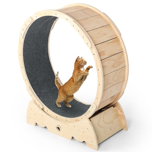 aleawol Katzenlaufrad Durchmesser 93cm Große Katzen Laufband Drinnen, Super Leise Laufräder für Katzen Trainingsrad aus Holz mit Katzenmatte, Laufrad für Katze und Kleines Haustier von aleawol