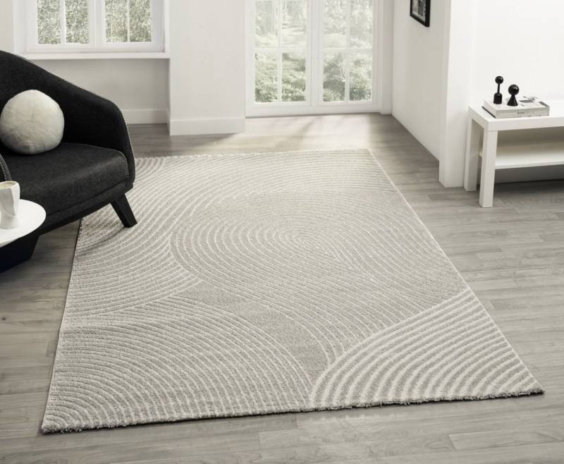 alesvelt Teppich Nova rechteckig zeitloses Design 13 mm Höhe 160 x 230 cm 200x290 cm, Höhe: 160 mm von alesvelt