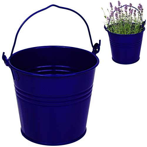 Kleiner - Metall Eimer/Blumentopf - royal blau - 15 cm hoch - 2 Liter - rostfrei - Blech Eimer/Metalleimer - rund - mit 3-D Effekt Rillen Prägung - mit He.. von alles-meine.de GmbH