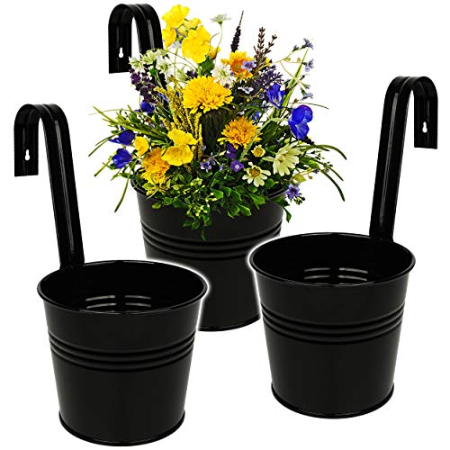 alles-meine.de GmbH 5 Stück Hänge - Blumentöpfe/Hängetöpfe/Pflanzschale - Metall - Ø 17 cm - schwarz RUND - Hängend/mit Haken & Halterung - Aufhängen - groß - mit Henkel.. alles-meine.de GmbH 5 Stück Hänge - Blumentöpfe/Hängetöpfe/Pflanzschale - Metall - Ø 17 cm - schwarz RUND - Hängend/mit Haken & Halterung - Aufhängen - groß - mit Henkel.. von alles-meine.de GmbH