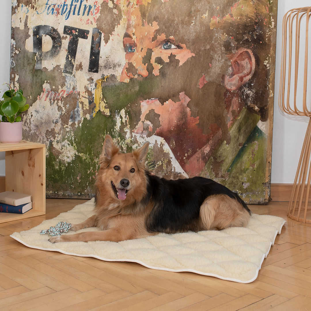 Hunde-Schurwoll-Steppdecke "Vellon" - Größe: 100x80 cm von allnatura