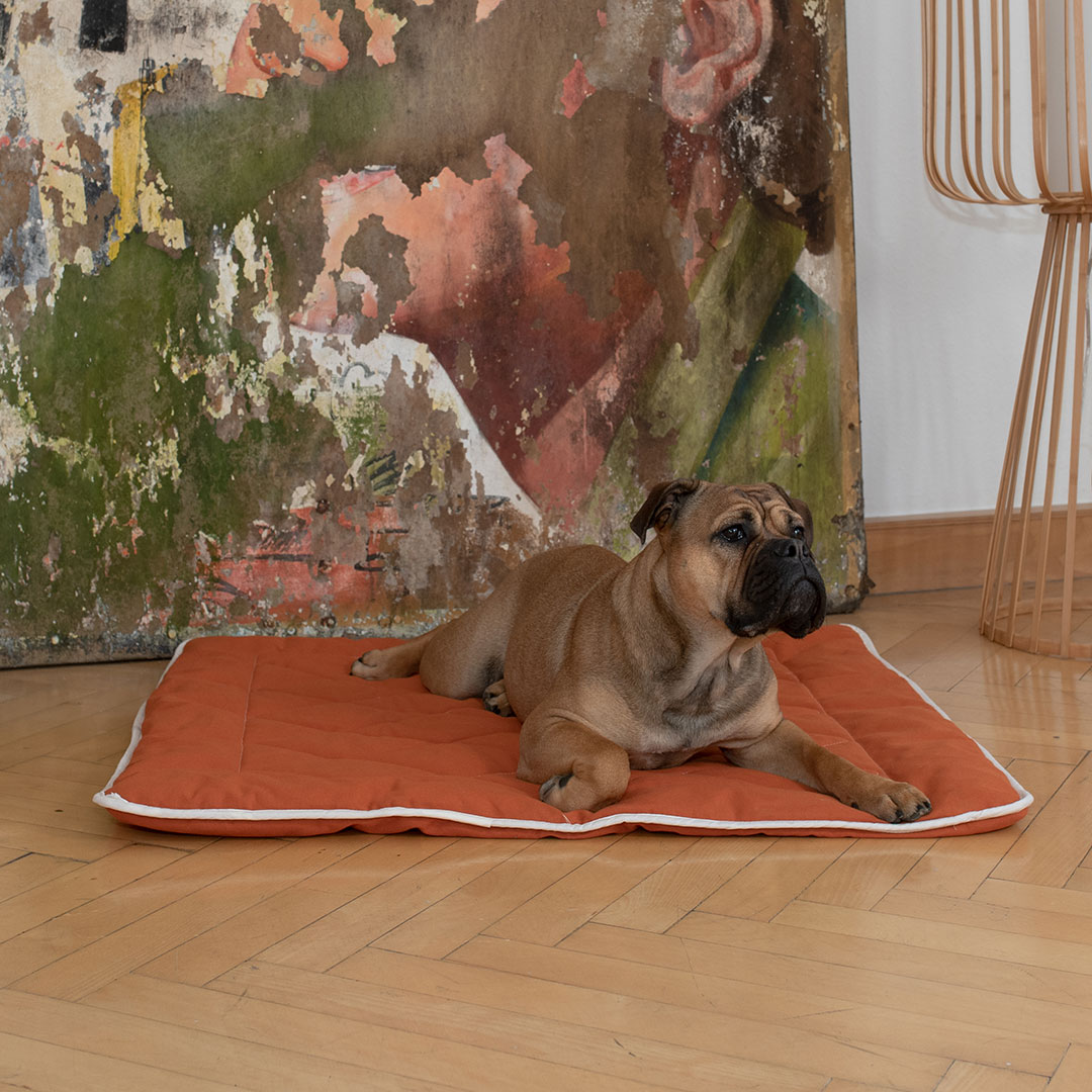 Hunde-Steppdecke "Estera" - Größe: 80x60 cm - Farbe: braun von allnatura