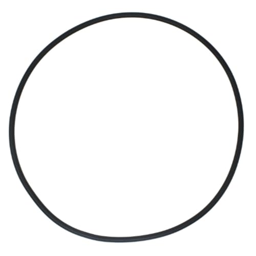 Mehrzweckstock Silikon O Ringe Für Star Clear Plus Patronen Filter Und Trenntanks Täglich von alloneslife