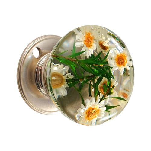 alloneslife Dekorativer Kugel-Türknauf mit von der Natur inspiriertem Muster, rostfrei, bequemer Griff, einfache Wartung, moderner Kugel, Schrankgriff von alloneslife