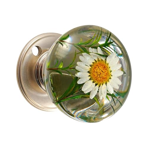 alloneslife Dekorativer Kugel-Türknauf mit von der Natur inspiriertem Muster, rostfrei, bequemer Griff, einfache Wartung, moderner Kugel, Schrankgriff von alloneslife