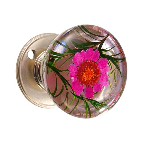 alloneslife Dekorativer Kugel-Türknauf mit von der Natur inspiriertem Muster, rostfrei, bequemer Griff, einfache Wartung, moderner Kugel, Schrankgriff von alloneslife