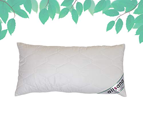 allsana Tencel® Klimafaser Kopfkissen 40x80 cm, Lyocell Kopfkissen voll waschbar bei 60°C, voll waschbares Kissen für Allergiker, atmungsaktiv von allsana