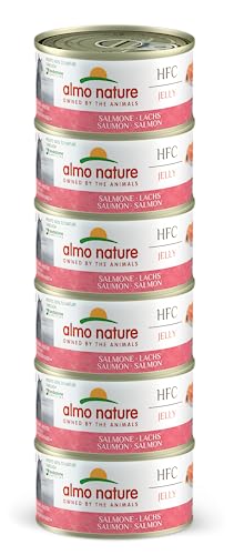 Almo Nature HFC Jelly - Nassfutter für ausgewachsene Katzen - Lachs - Human Grade, Glutenfrei & Monoprotein - 6 x 70g von almo nature