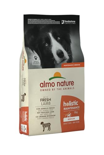 almo nature Holistic Adult Dog Maintenance Medium mit Frischem Lamm - Komplett Trockenfutter für ausgewachsene Hunde -mittelgrosser Rassen - 12kg von almo nature