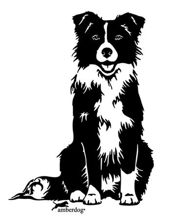 Border Collie Wandtattoo Art.Nr.T0138 Größe 30x20cm von amberdog