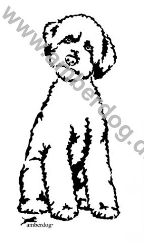 amberdog Lagotto Romagnolo Wandtattoo Art.Nr.T0218 Größe 30x20cm von amberdog