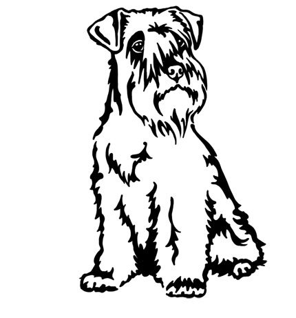 amberdog Zwergschnauzer Fensterfolie Art.Nr.AT0124 Auto Aufkleber Wohnmobil Wohnwagen (30x20cm, schwarz) von amberdog