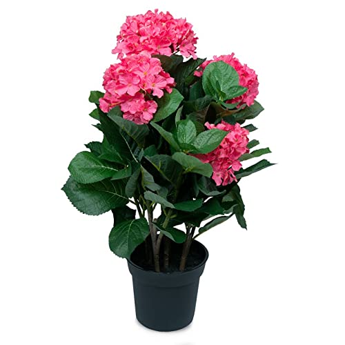 ambico Kunstpflanze Hortensie Nora 55 - künstliche Pflanze aus UV-beständigem Material - künstliche Hortensie in 55cm Höhe - Kunstblume von ambico