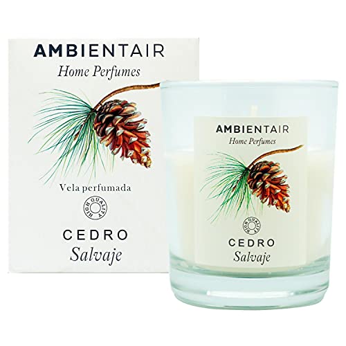 Ambientair Home Perfume Duftkerze Wild Cedro Zedernholz Lufterfrischer Duftkerze für Zuhause, Aromatherapie, Kerze im Glas für Innenräume, Brenndauer 30 Stunden von ambientair