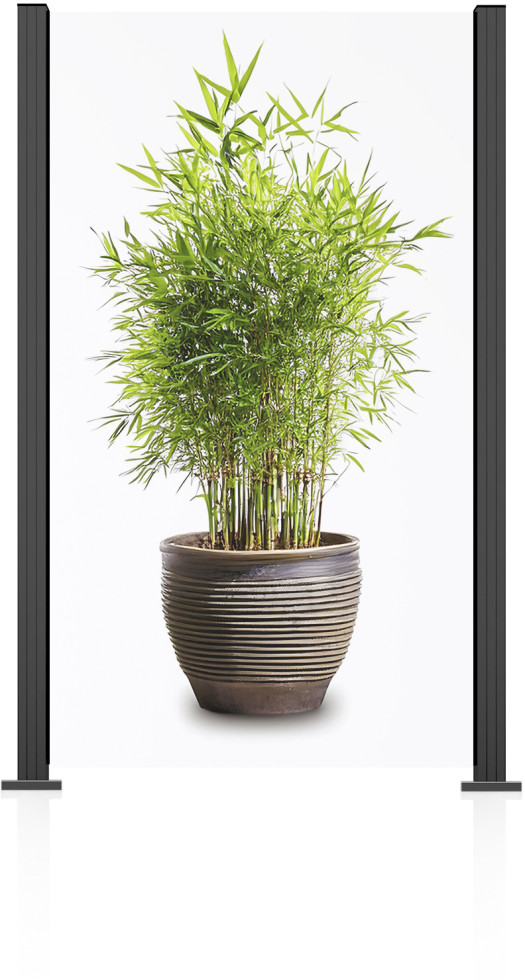 Ambiente Glaszaun Grundset Klarglas 187 x 107,2 cm anthrazit von ambiente