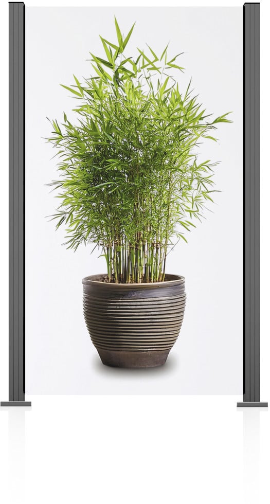 Ambiente Glaszaun Grundset Klarglas 187 x 107,2 cm grau von ambiente