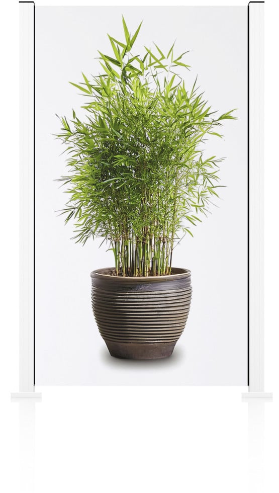 Ambiente Glaszaun Grundset Klarglas 187 x 107,2 cm weiß von ambiente