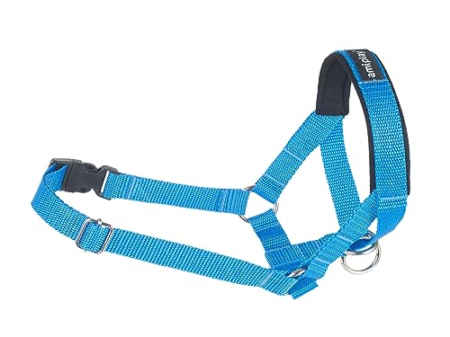 Hunde Ausbildungsgeschirr Basic XS/S/M/L/XL/XXL Amiplay (S (N2) Foxterrier 13-26 [a] x 25-41 [b] x 2 cm, Blau) von Amiplay