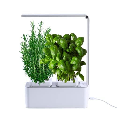 amzWOW Clizia Smart Garden - hydroponische anzuchtsysteme mit led pflanzenlampe - Automatisches Timer Keimungs Kit -Wassermangelalarm, Ziehen Sie Ihre eigenen aromatischen Kräuter zuhause (Weiß) von amzWOW