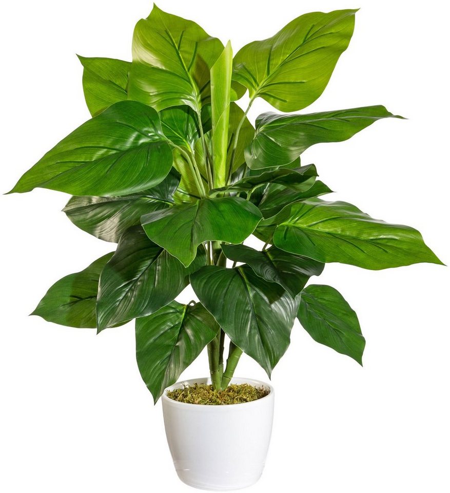 Künstliche Zimmerpflanze Jarla Philodendron, andas, Höhe 50 cm, im Keramiktopf von andas