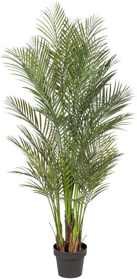 Kunstpalme Marit Arecapalme, andas, Höhe 160 cm Kunstpalme Marit Arecapalme, andas, Höhe 160 cm von andas