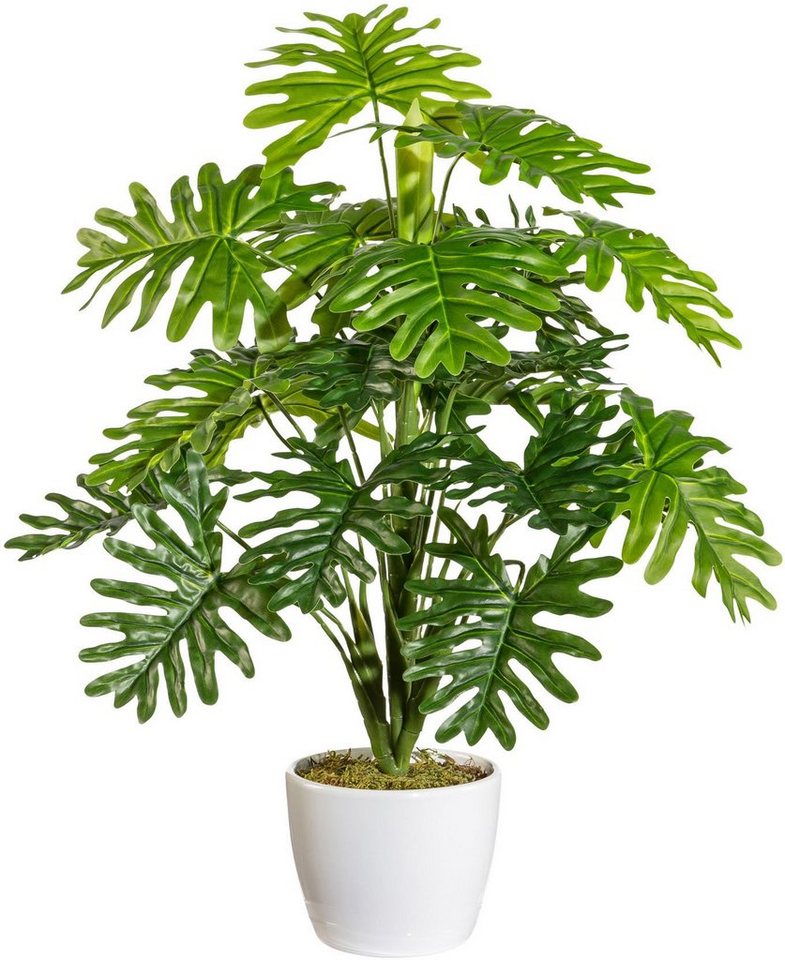Kunstpflanze Monstera, andas, Höhe 50 cm, im Topf von andas