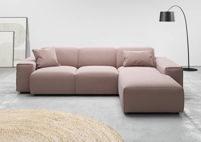 andas Ecksofa Glimminge L-Form auch in Breitcord, Feincord + Easy care-Bezug, Breite 264, Zierkissen von andas
