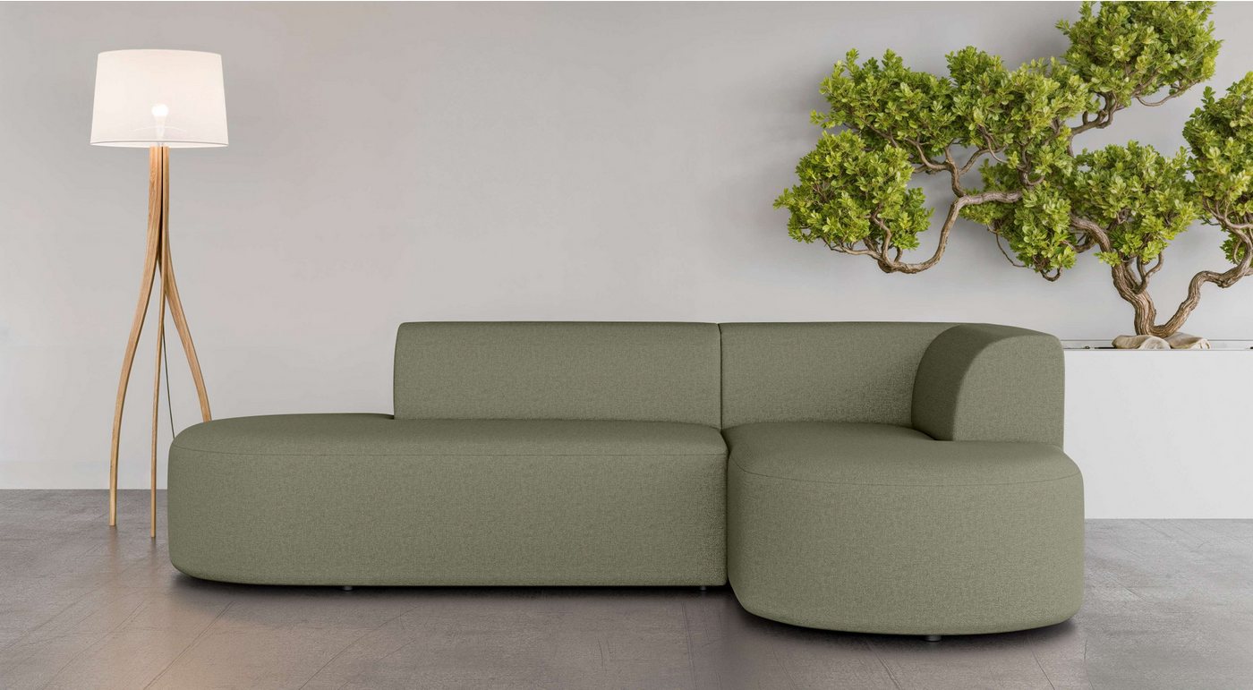 andas Ecksofa Ecksofa Tvinne mit Ottomane links oder rechts bestellbar, L-Form, mit Wellenunterfederung, BxTxH 260x170x73 cm andas Ecksofa Ecksofa Tvinne mit Ottomane links oder rechts bestellbar, L-Form, mit Wellenunterfederung, BxTxH 260x170x73 cm von andas