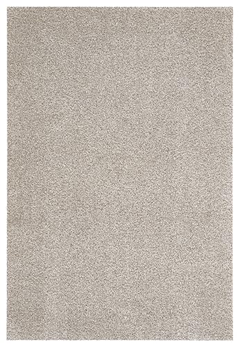 andiamo Fußmatte Samson - Schmutzfangmatte aus Baumwolle für den Hauseingang - einsetzbar als Fußmatte innen, Fußabtreter im überdachten Außenbereich oder als Haustiermatte 100 x 150 cm Hellbeige von andiamo
